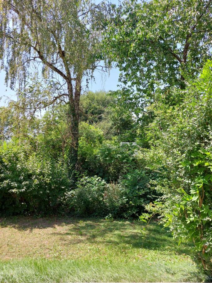 Landpartie Leilighet Freckenfeld Eksteriør bilde
