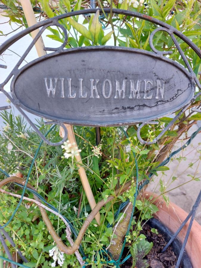 Landpartie Leilighet Freckenfeld Eksteriør bilde